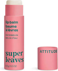 Attitude Lip Balm 8.5gr Attitude Lip Balm 8.5gr