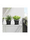 vidaXL Set 6 Ghivece Plastice Negru