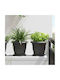 vidaXL Set 6 Ghivece Plastice Negru