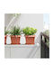 vidaXL Комплект 6 Саксии Пластмасови Light Terracotta
