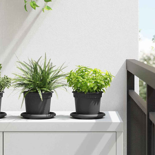 vidaXL Set of 6 Plastic Flower Pots Black 12.5x10cm
