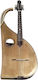 Acoustic Mandolin