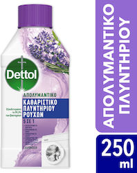 Dettol Απολυμαντικό Υγρό Καθαριστικό Πλυντηρίου 250ml Dettol Απολυμαντικό Υγρό Καθαριστικό Πλυντηρίου 250ml