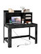 Desk Wooden Black with USB ports 108x60x125cm