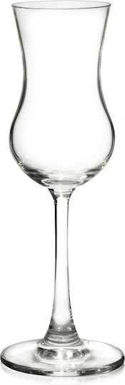 Ocean Madyson Set of Glasses made of Glass Stemmed 115ml 6pcs