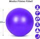 Fitball Ball Pilates 65cm in Purple Color
