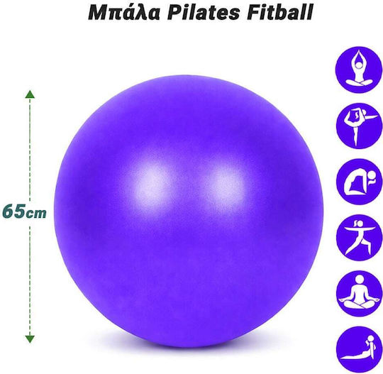 Fitball Ball Pilates 65cm in Purple Color