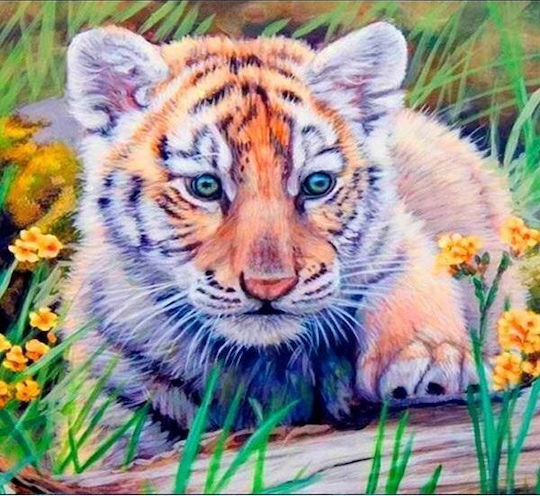 Norimpex 5d Diamond Mosaic Tiger 40x30cm