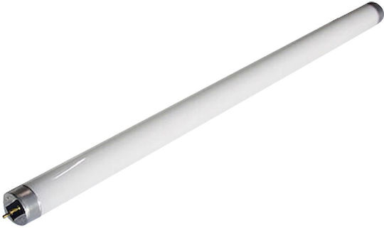 Geyer Fluorescent Lamp T5 Uv-a Bl365 13w 365nm Ht5uva13