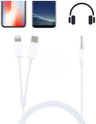 Cable 1m