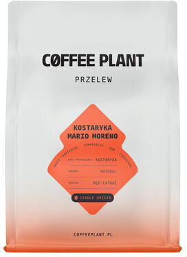 Coffee Plant Filterkaffee Costa Rica in Körner 250g