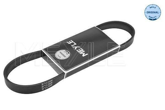 Curea Dinamo Poly V 6pk831elastik 0500060831e-10761