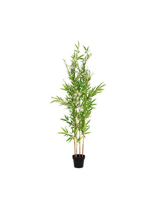 Bamboo Plant 185cm UV and Fire Protection Fire Retardant 92197