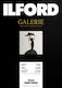 Ilford Galerie Gold Fibre Pearl 290g Hârtie Foto A4 50 Foi