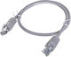 Gembird U/UTP Καλώδιο Δικτύου Ethernet Μπεζ