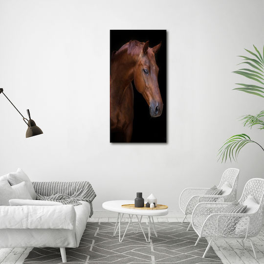 Panou Pânză Living Decorare Zilnică Portret Cal 60x120 Cm