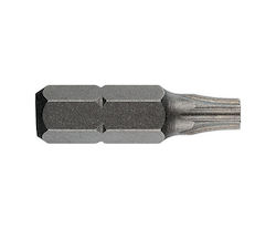 Standard Bit 1/4'' Din Iso 1173 Form C 6.3 Torx Profile Hole L 25 Tx Bo 08