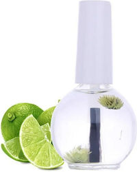 Global Nail Cuticle Oil 15ml