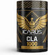Icarus Nutrition CLA 1000mg 90 softgels