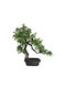Artificial Outdoor Tree Bonsai Real Touch Plastic Green 28cm Marhome
