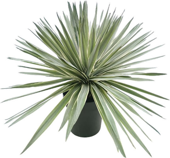 Paradiesvogel in Topfpflanze 58cm Marhome