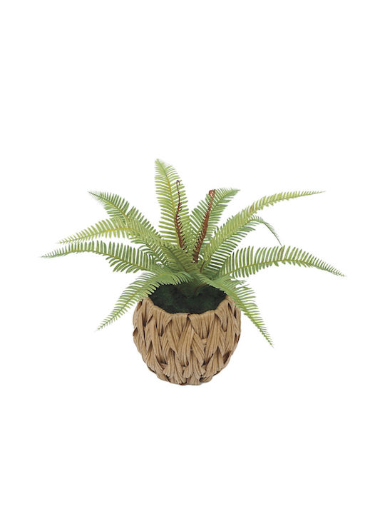 Изкуствено растение в саксийка Fern Пластмасово Brown 30см Marhome