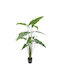 Arbore Artificial de Exterior Alocasia Real Touch Plastică Green 180cm Marhome