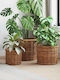 vidaXL Planter Rattan Brown