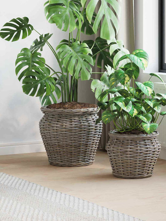 vidaXL Κασπώ Rattan Γκρι 2τμχ