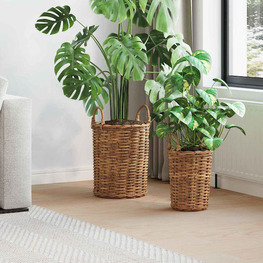 vidaXL Κασπώ Rattan Καφέ 2τμχ