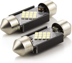 CarGuard Λάμπες C5W / C10W LED Λευκό 2τμχ