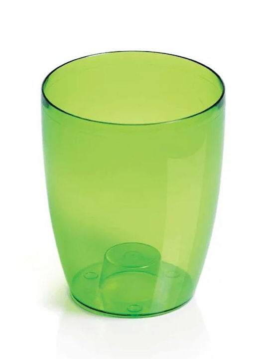 Iliadis Coubi Orchid Ghiveci Plastic Transparent