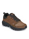 Sneakers Brown