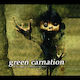 Green Carnation