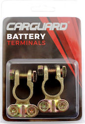 Copper Terminal Car Battery