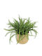 Marhome Decorative Basket Wicker Beige 45x45x30cm