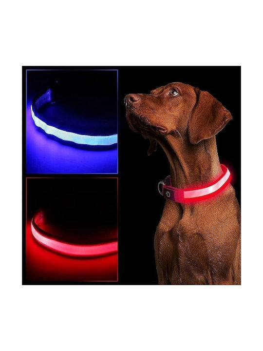 Led Light-up Dog Collar Size S 3 Lighting Modes Led Light-up Dog Collar Size S 3 Lighting Modes