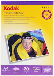 Kodak Glossy Photo Paper A4 230g