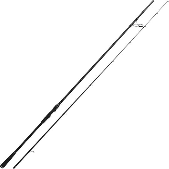 Oceanic Fishing Rod for Shore Jigging 2.9m 50-100gr