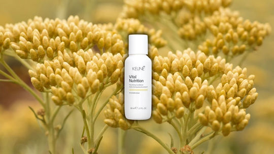Keune Care Vital Nutrition Conditioner Αναδόμησης, Ενυδάτωσης & Θρέψης 80ml