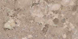 Baldocer Fliese Boden Innenbereich 120x60cm Bronzo