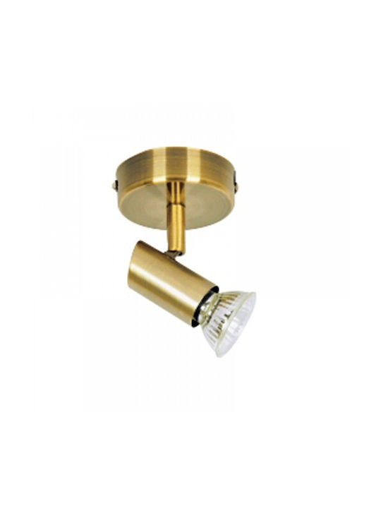 Inlight Single Spot with Socket GU10 in Bronze Color
