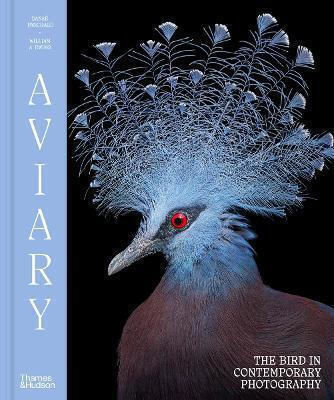 Aviary: The Bird In Contemporary Photography Danae Panchaud Thames & Hudson Ltd