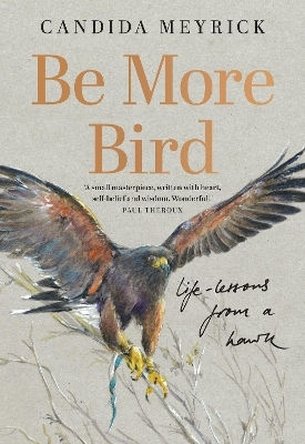 Be More Bird Life Lessons From A Hawk Candida Meyrick