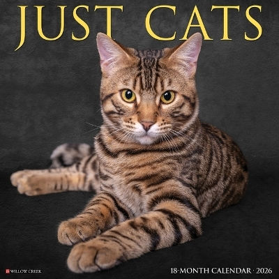 Cats 2026 Wall Calendar Willow Creek Press Wlcp