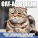Cat-astrophe 2026 Mini Wall Calendar Willow Creek Press Wlcp