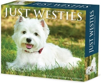 Westies 2026 Box Calendar Willow Creek Press Wlcp