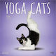 Yoga Котки Официален 2026 12 X 24 Инча Висящ Месечен Квадратен СТенен Календар Без Пластмаса Browntrout Brown Trout