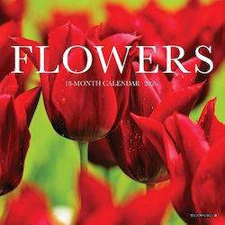 Flowers 2026 Mini Wall Calendar Willow Creek Press Wlcp