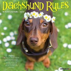 Dachshund Rules 2026 12 X 12 Wall Calendar Willow Creek Press Willow Creek Press Calendars